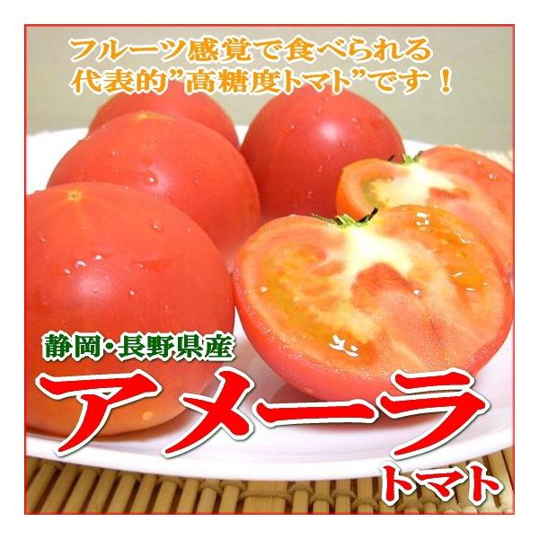 新生活 高糖度とまと アメーラトマト 1kg 静岡 長野産 甘いトマト 小粒トマト フルーツトマト ミニトマト プチトマト アメラ とまと アメーラルビンズトマト 高糖度ミニとまと 糖度10度 10P入 (1パック約10ヶ入) 静岡産及び長野産