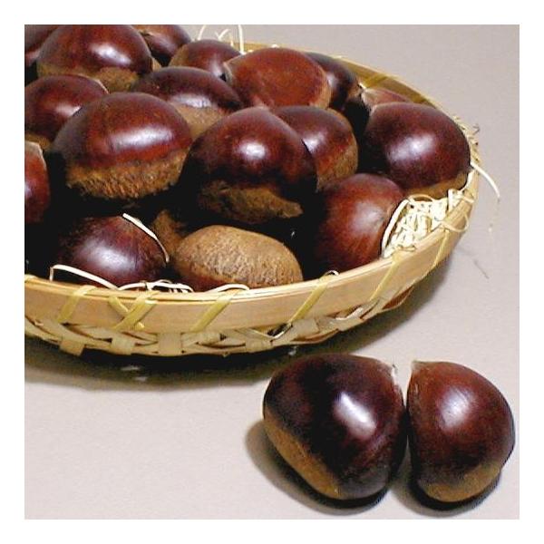 OgI ΂ 2LTCY 1kg  sY ̃uhYi|H  Og OgN H aI I