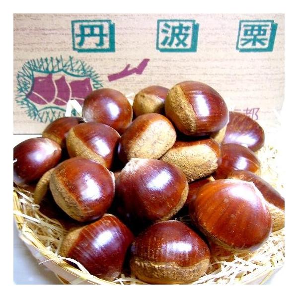 じゅん様　生栗　2キロ 栗 茨城県 生栗 くり クリ 送料無料 菊地さんちの 無燻蒸 利平