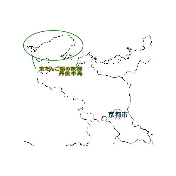 京丹後梨 世紀梨 にじゅっせいきなし 約5kg 大玉 14 16個入り 京のブランド産品 京たんご梨 京都産 二十世紀梨 和梨 青梨 Buyee Buyee 提供一站式最全面最專業現地yahoo Japan拍賣代bid代拍代購服務 Bot Online