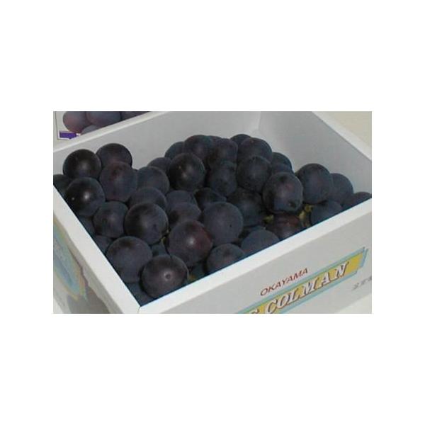 ぶどう グローコールマンぶどう 1ｋｇ 化粧箱 岡山産 17 お歳暮 ギフト 葡萄 Buyee Buyee Japanese Proxy Service Buy From Japan Bot Online