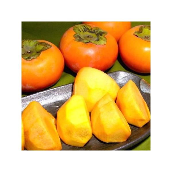  󂠂 Ȃg xL` ӂ䂤 TCY܂ 3.75 16`18O ޗǎY|킯 AEgbg Ê` xLJL 0~ 