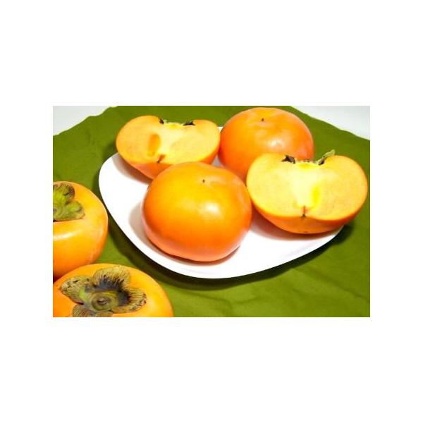 カキ 京都産 大枝柿 おおえのかき 冨有柿 2ｌサイズ 13個入り ふゆがき 富有カキ 大枝のカキ Buyee Buyee Japanischer Proxy Service Kaufen Sie Aus Japan