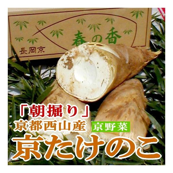 筍 朝掘り 京 たけのこ 約4kg 4〜10本前後 米ぬかプレゼント お 筍 朝掘り 京 たけのこ 約4kg 4〜10本前後 米ぬかプレゼント お