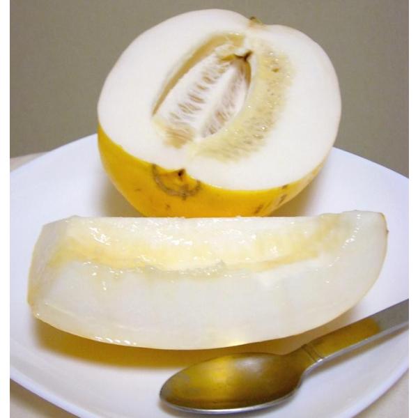 ウリ 真桑瓜 マクワウリ まくわうり 約5ｋｇ 10 12個前後入り 滋賀産 昭和のメロン Buyee 日本代购平台 产品购物网站大全 Buyee一站式代购 Bot Online