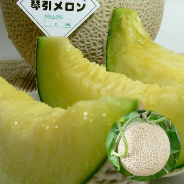 メロン あみの琴引メロン ことびきめろん LAサイズ 2個入り 京都