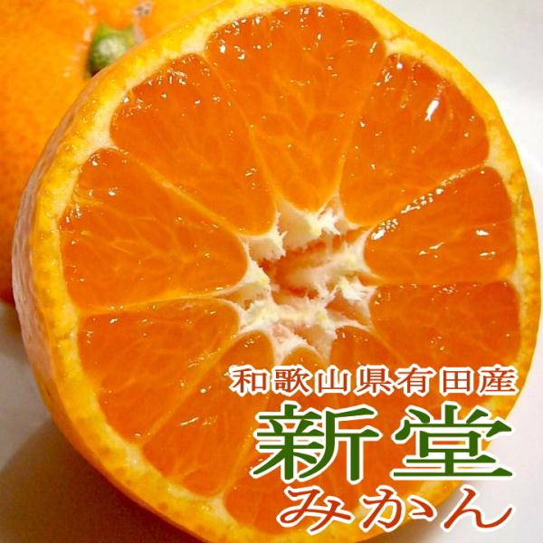 有田みかん 10kgの人気商品 通販 価格比較 価格 Com