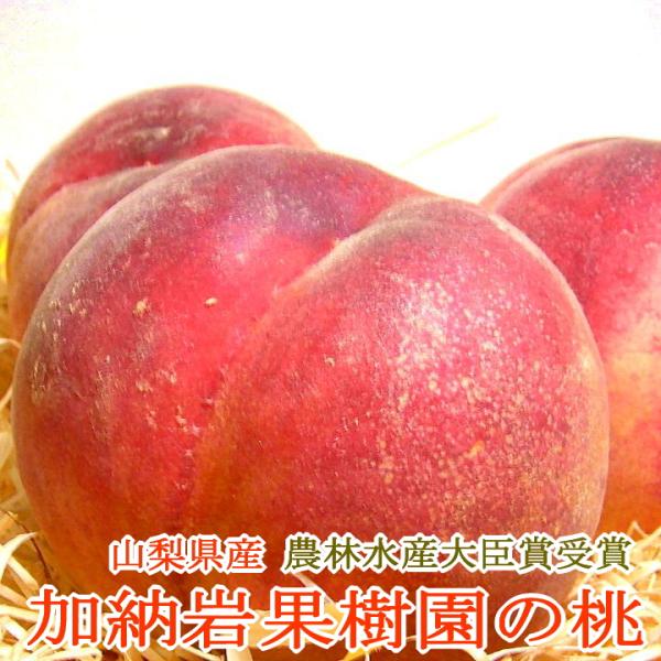 もも 加納岩果樹園の桃 約5kg 特大 12個入り 第一回農林水産大臣
