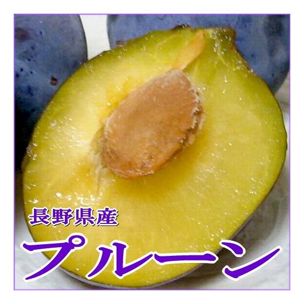 奄美プラム、すもも　7キロ 奄美大島産すもも 1kg~ - 奄美大島特産品販売ショップ がじゅMarine