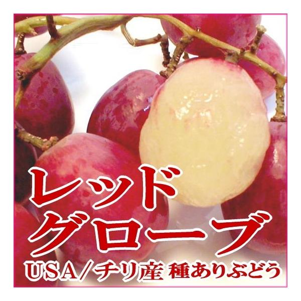 ぶどう ブドウ 葡萄 レッドグローブ れっどぐろーぶぶどう 約８ｋｇ チリ アメリカ産 種有ぶどう Buyee Buyee Japanese Proxy Service Buy From Japan Bot Online