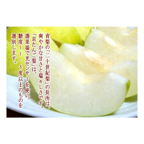 訳あり 世紀 にじゅっせいきなし 京都産 京たんご梨 送料無料 約5kg 16 22個入り 少し外観に難ありです 二十世紀 丹後梨 青梨 Buyee Buyee Japanese Proxy Service Buy From Japan Bot Online