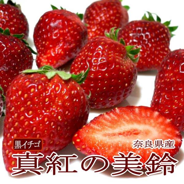 イチゴ 黒いちご 真紅の美鈴 しんくのみすずいちご 15 17粒前後 1パック 2パック入り箱 奈良産 苺 ストロベリー イチゴ Buyee 日本代购平台 产品购物网站大全 Buyee一站式代购 Bot Online