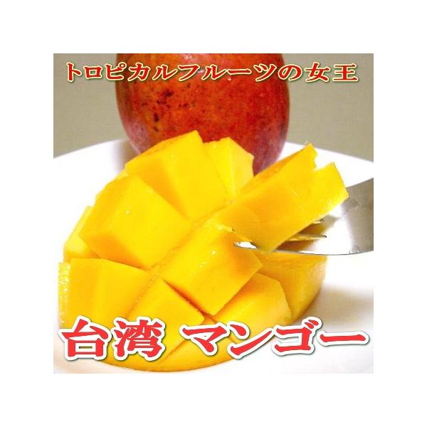 マンゴー 台湾産 マンゴー 大玉 6 7個入り アップルマンゴー 台湾マンゴー お中元 ギフト プレゼント Buyee 日本代购平台 产品购物网站大全 Buyee一站式代购 Bot Online