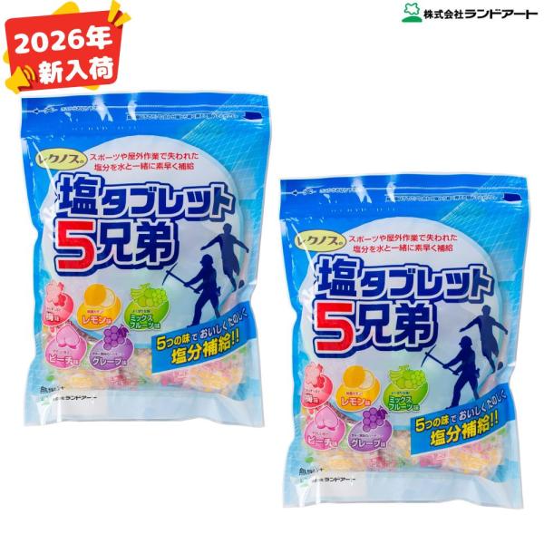 ●お得な2袋まとめ買い(500ｇ袋×２袋) ●【商品説明】●梅味・レモン味・ミックスフルーツ味・ピーチ味・グレープ味の5つの味で味に飽きることなく塩分摂取ができます。― タブレットタイプのポイント ―・噛み砕きやすいので素早く塩分補給。・ポ...