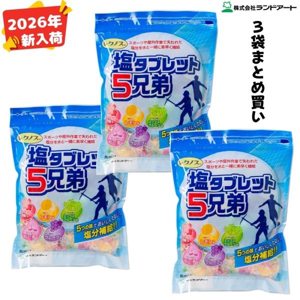2026年最新入荷 3袋まとめ買い ランドアート 塩タブレット5兄弟 (500g x 3袋入） 塩飴 塩あめ 塩タブレット５兄弟