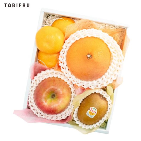 フルーツ詰め合わせ ギフト フルーツ 果物 フルーツ詰め合わせ《スタンダード