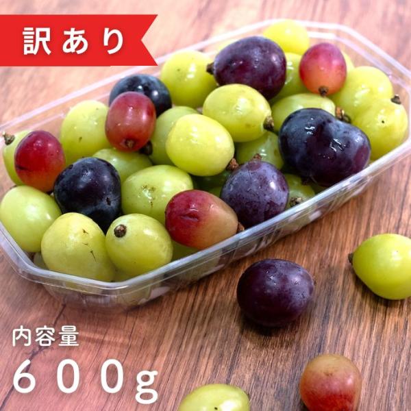 【ご家庭用】訳ありぶどう詰め合わせ 2パック入り ブドウ シャインマスカット  ピオーネ ナガノパープル クイーンルージュ 家庭用 自宅用