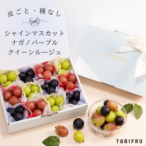 【食べ比べ】皮ごと種なし ぶどうの宝石箱 ぶどう食べ比べ シャインマスカット ナガノパープル クイーンルージュ