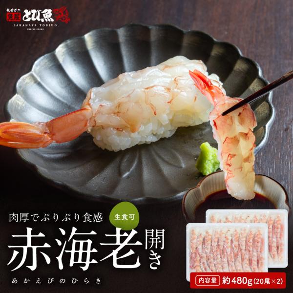 赤エビ開き40尾 (240ｇ×2) 1尾当たり約10cm アルゼンチン赤エビ お刺身可 海老 冷凍 送料無料 aebi2404sp