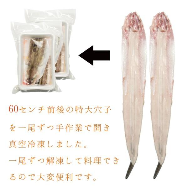 あなご開き500g 250g前後 2p アナゴ穴子煮穴子天ぷら真空冷凍下処理済み送料無料 Buyee Buyee 提供一站式最全面最專業現地yahoo Japan拍賣代bid代拍代購服務