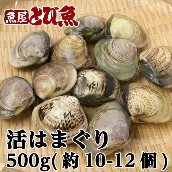 活はまぐり 500g 約10 12個 ハマグリ 蛤 酒蒸し お吸い物 バーベキュー Hamaguri 魚屋 とび魚 通販 Yahoo ショッピング