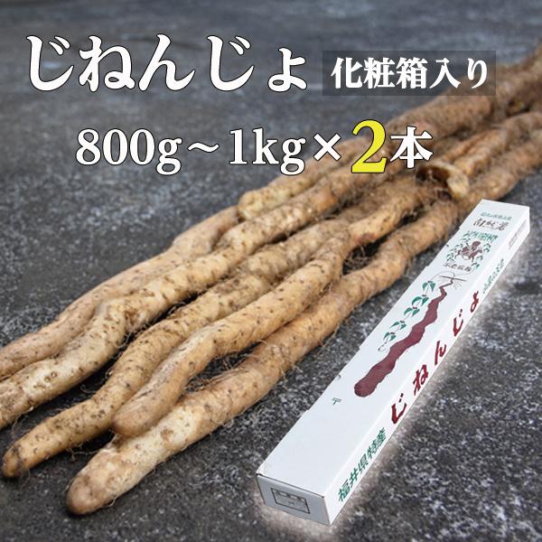 自然薯 じねんじょ 800g‐1kg×2本 化粧箱入り 山芋 やまのいも 福井県