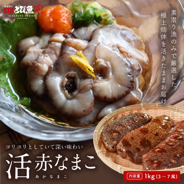 赤ナマコ　2キロ　2袋　漁師直　お得 25％OFF！赤ナマコ2kg