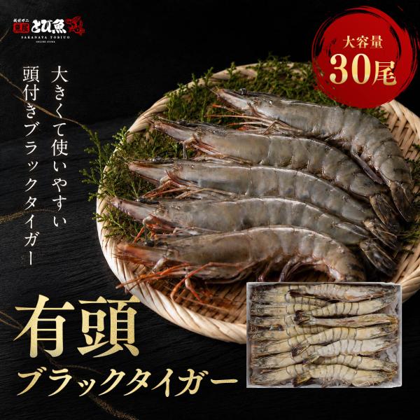 有頭 ブラックタイガー 30尾 1.3kg インド産 冷凍 有頭えび 海老 エビ BBQ 塩焼き ガーリックシュリンプ エビフライ バーベキュー 大容量 魚屋とび魚 ybt2607