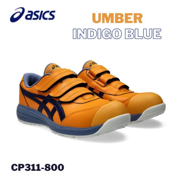 tobiwarabiueda_cp311800
