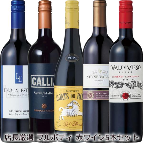 フルボディ赤ワイン5本セット_チリ、アルゼンチン、南アフリカ フルボディ赤ワイン5本セット_チリ、アルゼンチン、南アフリカ