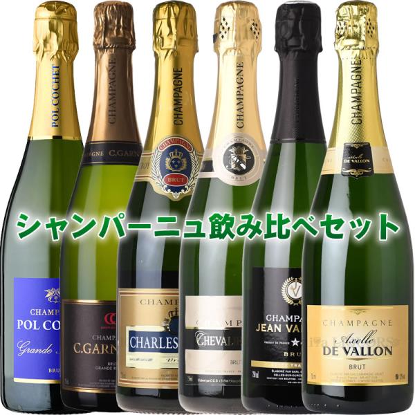 第10弾 大興奮のシャンパーニュ6本セット (本物シャンパンのみ 第10弾 大興奮のシャンパーニュ6本セット (本物シャンパンのみ