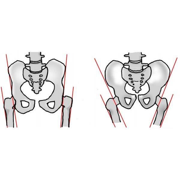 P11倍 トコちゃんベルト Lサイズ 青葉 骨盤ベルト 腰痛ベルト 妊活 妊娠中 産前 産後 骨盤 ゆがみ 骨盤矯正 ダイエット Buyee Buyee Japanese Proxy Service Buy From Japan Bot Online