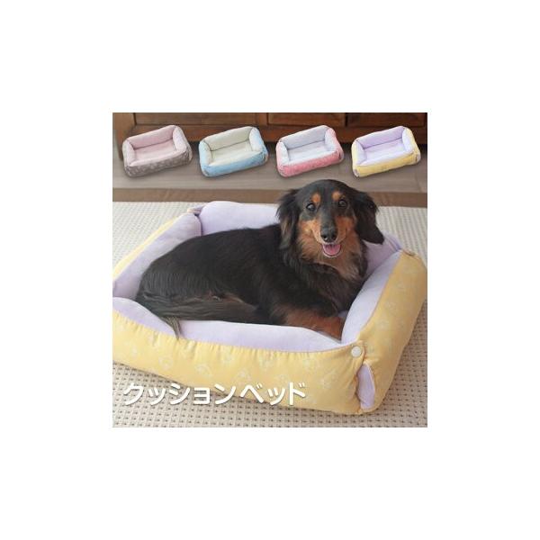 ybg xbh NbV xbh xbh pxbh 킢 Q pi ybgp