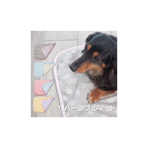 ybg}bg o[Vu pi 킢 ybgp }bg