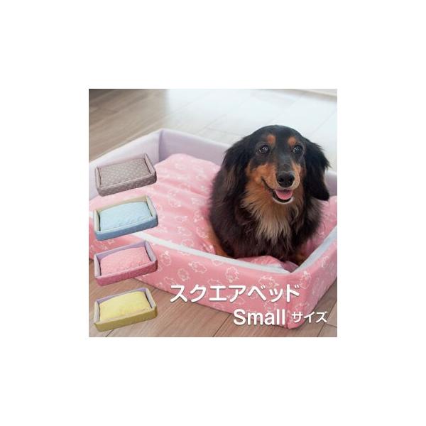 ybg xbh X[TCY xbh pxbh ^ 킢 Q pi ybgp