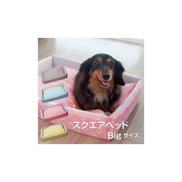 ybg xbh rbOTCY xbh pxbh ^ 킢 Q pi ybgp