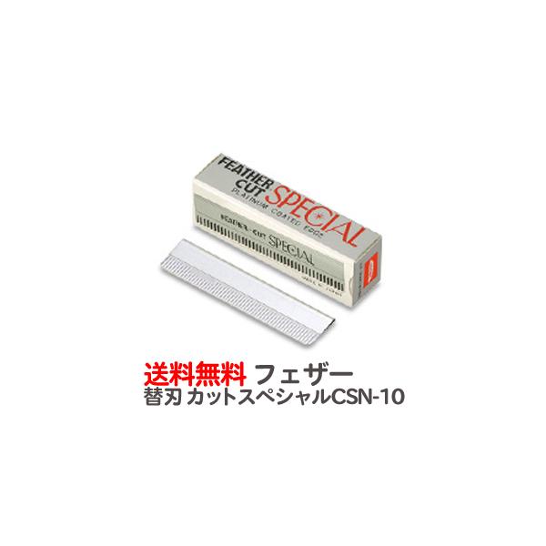 フェザー 替刃 カットスペシャル 10枚入り CSN-10【業務用 ヘアカット用レザー 日本剃刀 かみそり カミソリ 床屋 サロン プロ用】