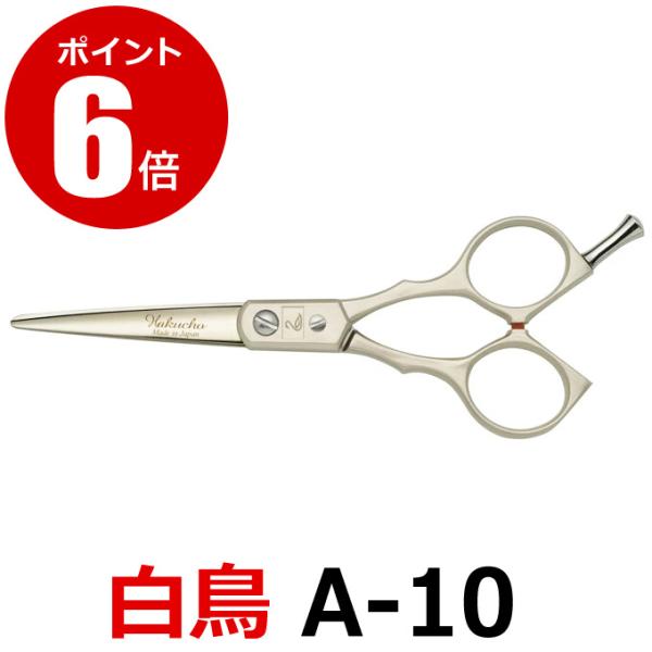 togishokunin_swan-a-10