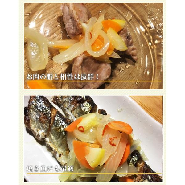 野菜のエスカベッシュ 240g マリネ マリナード 北海道 玉葱 にんじん 玉ねぎ 人参 魚 フランス 無添加 ギフト プレゼント ポイント消化 Buyee Buyee Japanese Proxy Service Buy From Japan Bot Online