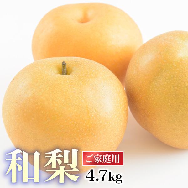 梨　和梨　家庭用　20㎏ 食品 梨 和梨 家庭用 20㎏