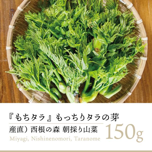 tohoku-kandoko_taranome-2nd-150 tohoku-kandoko_taranome-2nd-150