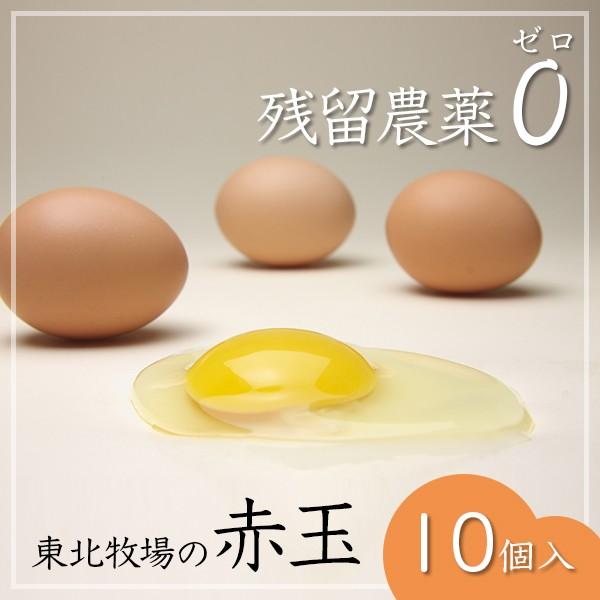 高級卵赤玉10個美味しい産みたて新鮮平飼い卵有精卵ギフト卵 Buyee Buyee 提供一站式最全面最專業現地yahoo Japan拍賣代bid代拍代購服務