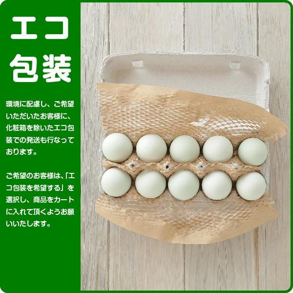 高級卵青玉10個美味しい産みたて新鮮平飼い卵有精卵ギフト卵 Buyee Buyee 提供一站式最全面最專業現地yahoo Japan拍賣代bid代拍代購服務