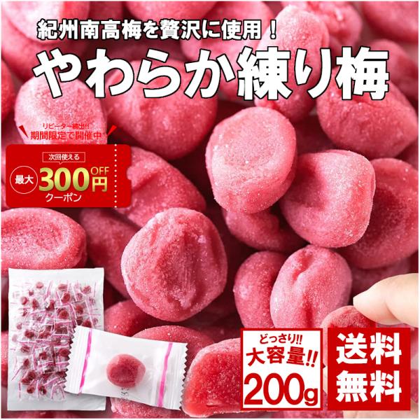 梅干し 個包装 種なし やわらか練り梅 梅干 梅肉エキス 紀州南高梅