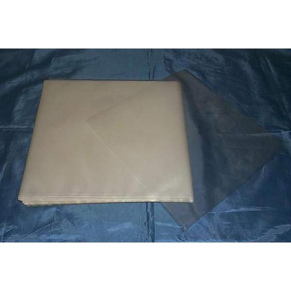 （サプライ） １０インチレコードジャケット保護用　ＰＰ袋（透明）１００枚　(C30)