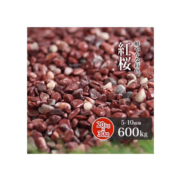 紅桜 600kg (20kg×30袋) 送料無料 人気商品は cleanharbor.org
