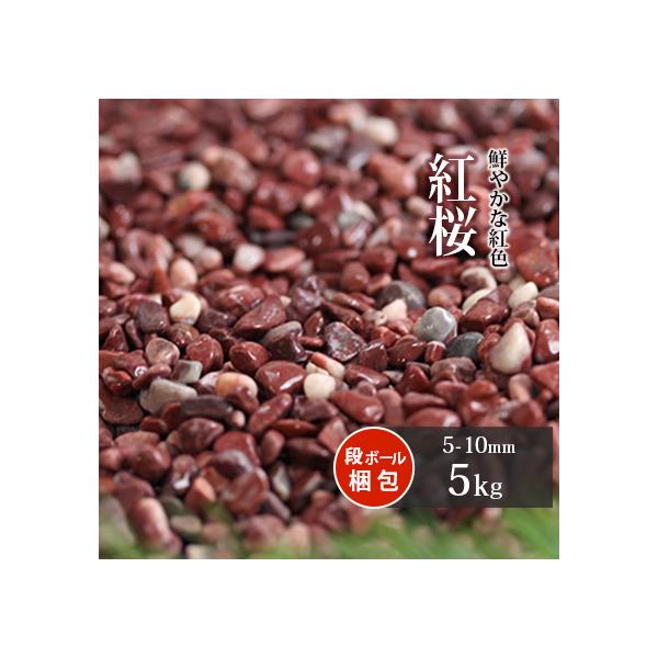 g 5kg /     sN }`O ύ ~  ׂ K[f Xg[ m a ؒ ΍