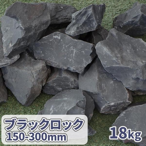 tokaijari_br150300-20