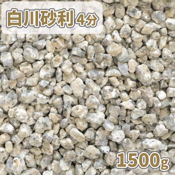 白川砂利 4分 (約10-14mm) 1500g / 庭 砂利 おしゃれ 砂利敷き 和風 マルチング 化粧砂利 サンプル 見本 少量 鉢 植木 盆栽 化粧石