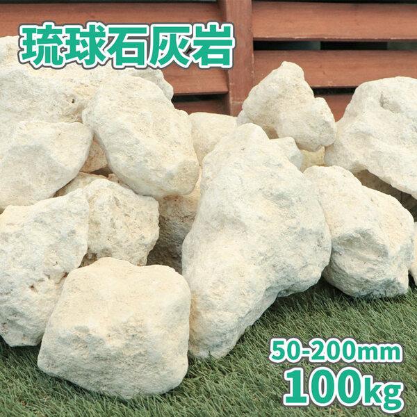 琉球石灰岩 50-200mm 100kg (10kg×10箱) / 庭 置き石 おしゃれ 庭石